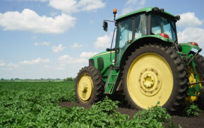 AGRICULTURA Y GANADERÍA